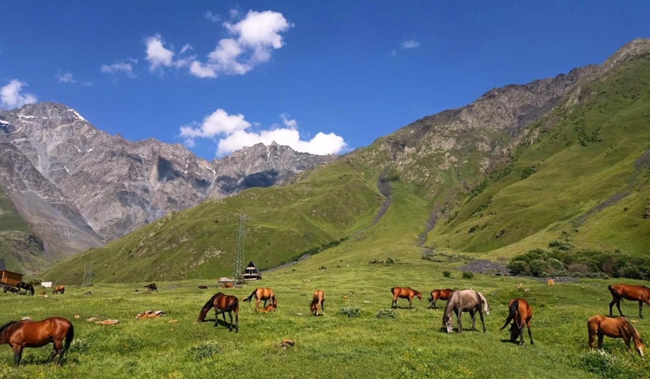 Mountain Flower Cottage Kazbegi Dış mekan fotoğraf