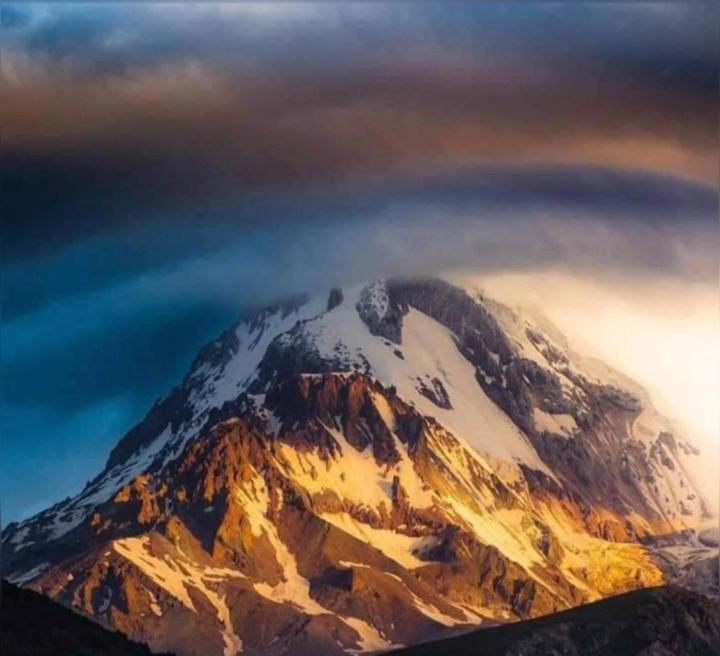 Mountain Flower Cottage Kazbegi Dış mekan fotoğraf